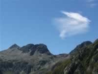Pyrenaen Bild